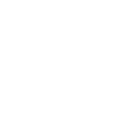 Icon Truck