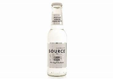 Llanllyr Source Club Soda 4x200 Tonic/Club Soda